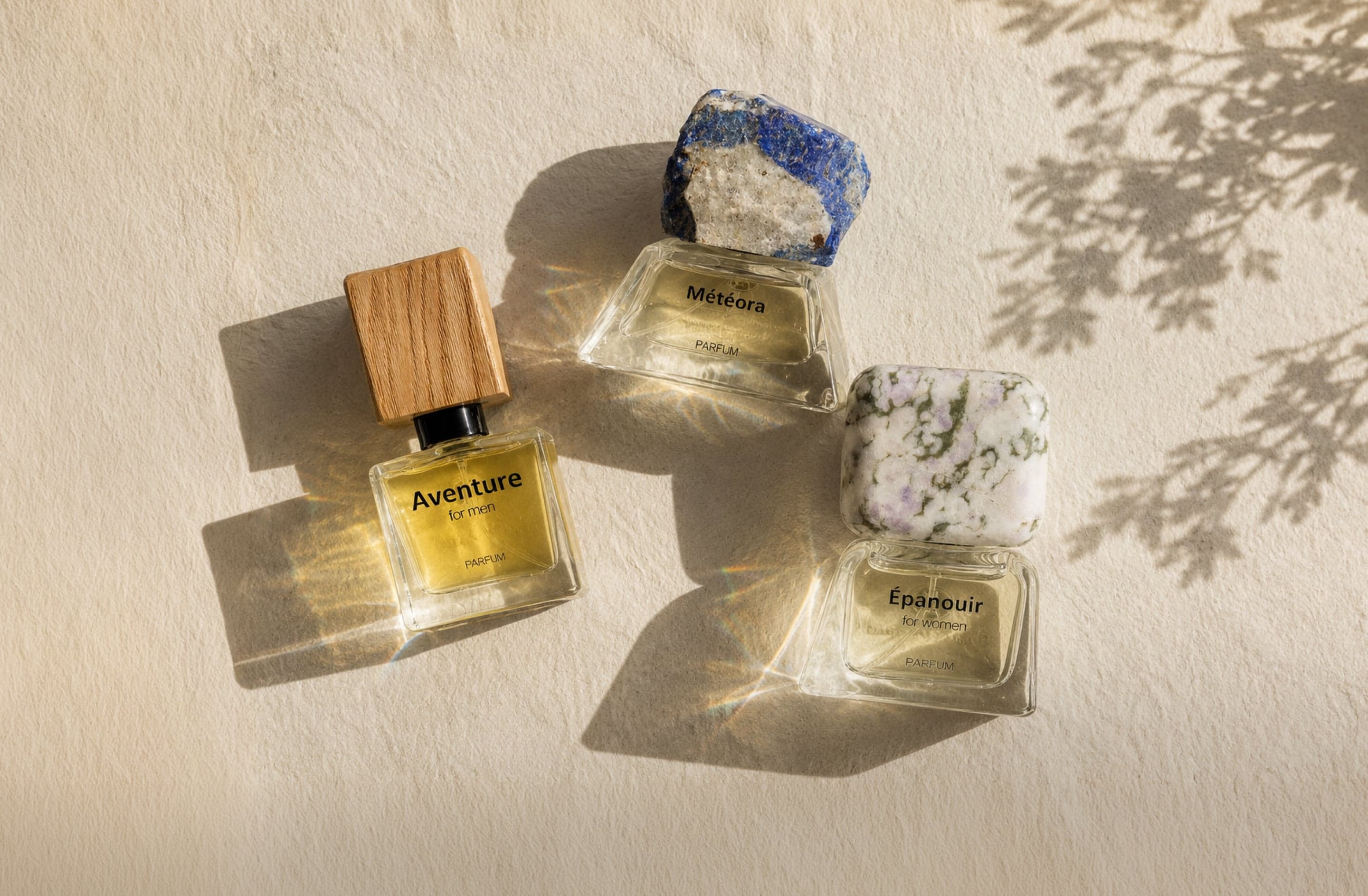 Discover The Collection